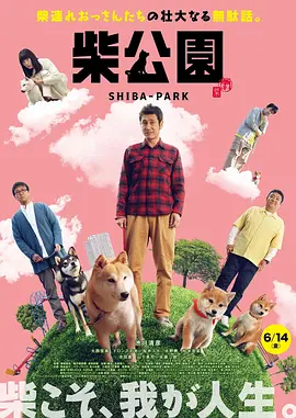全集免费观看超清