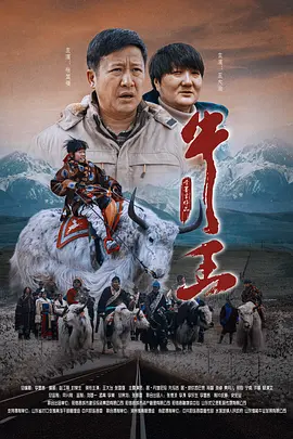 BD国语电影免费在线