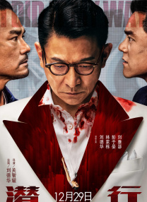 DVD高清完整版
